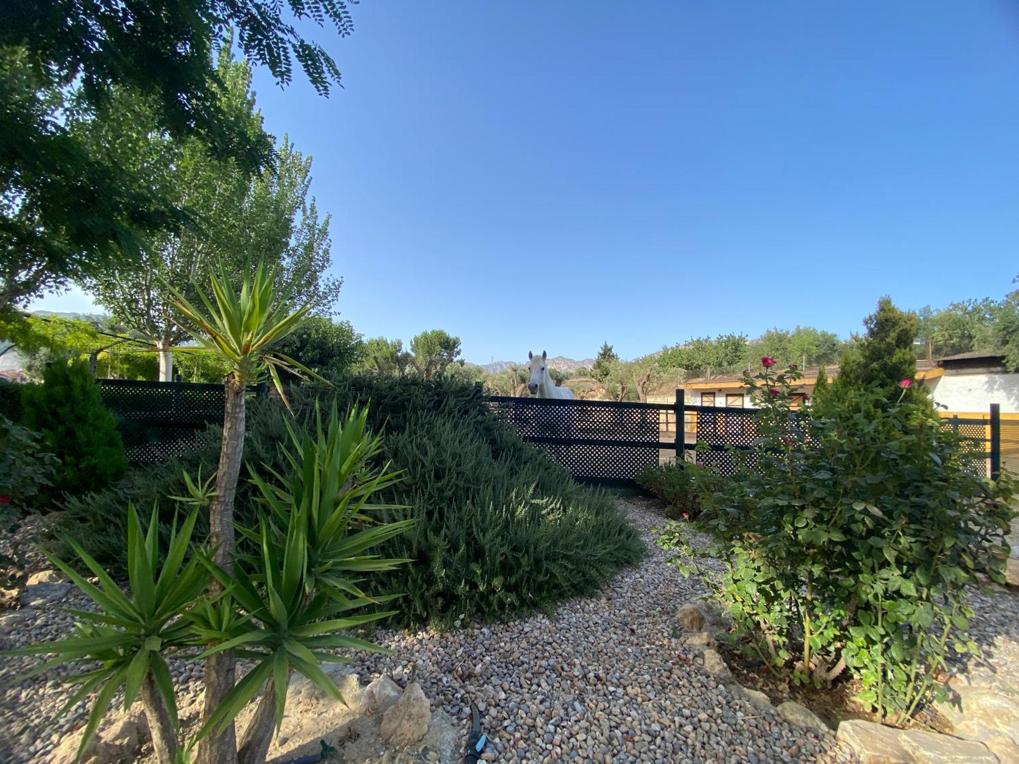 גרנדה Villa Elisabeth מראה חיצוני תמונה