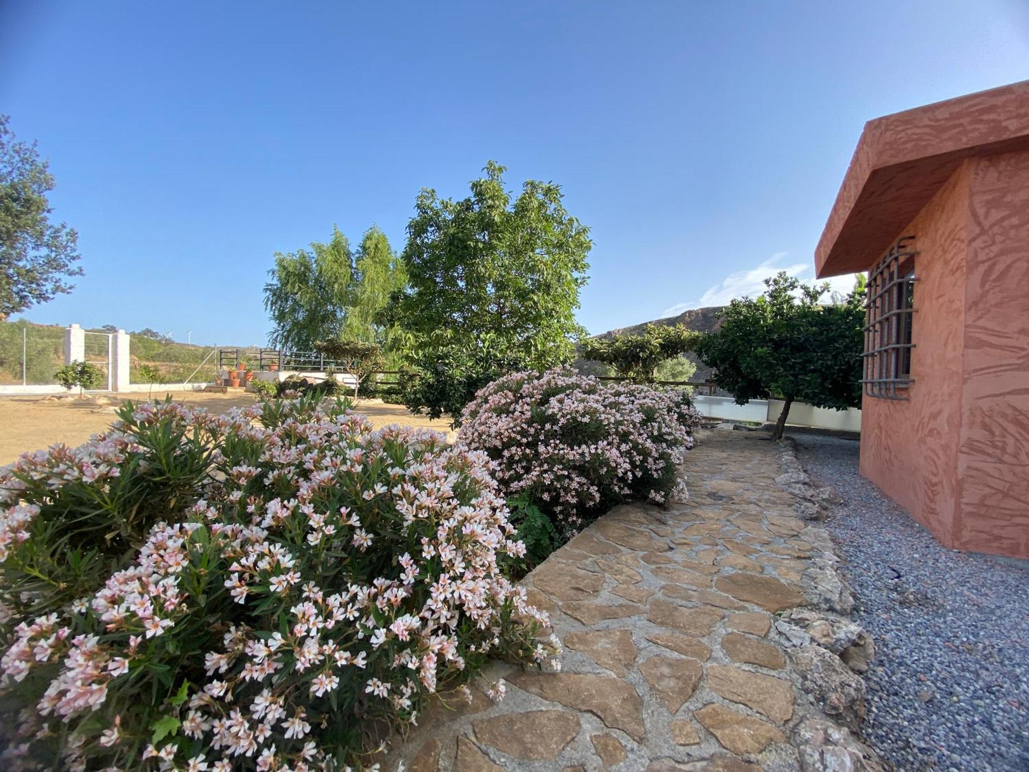 גרנדה Villa Elisabeth מראה חיצוני תמונה